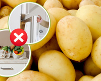 Não é na geladeira, muito menos no armário: o jeito certo de guardar batata é inacreditável, mas faz durar muito mais!