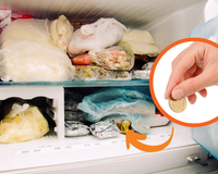 Colocar uma moeda no congelador é o truque simples que pode salvar seus alimentos quando você viaja