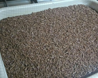 Bolo de chocolate prático