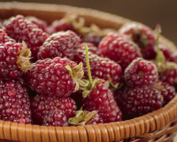 Conheça 5 frutas híbridas e saiba mais sobre elas