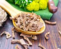 Raiz de ouro: descubra os benefícios da rhodiola rosea, poderosa planta que melhora até o funcionamento do cérebro