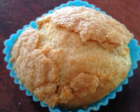 Cupcake proteico de aveia fit