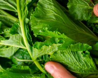 Só alguns brasileiros comem isso, mas é um vegetal muito melhor do que o espinafre e a acelga