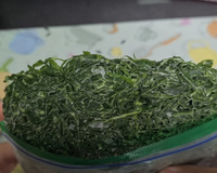 Adeus desperdício: a couve nunca mais estragou na geladeira depois que aprendi a congelar desses dois jeitos (e a forma certa de descongelar!)