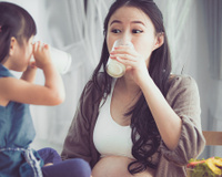 O ser humano é o único animal que consome leite depois de adulto (saiba por que isso NÃO é um problema)