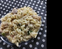 Macarrão com frango e molho branco