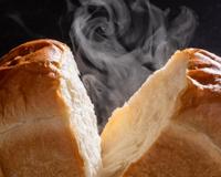 Vai fazer pão caseiro? Veja 4 panificadoras fáceis de usar para você ter na sua cozinha