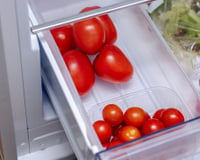 Fernando Canales Etxanobe, chef com estrela Michelin: "Há um erro que cometemos muito com os tomates, que é colocá-los na geladeira."