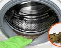 Por que as pessoas estão colocando folhas de louro na máquina de lavar?