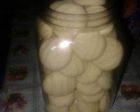 Biscoitinhos para lanche