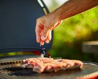 Como escolher os temperos para churrasco: essas são as melhores combinações para deixar saboroso