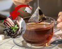 Você sabia que seu saquinho de chá usado pode virar um superfertilizante para suas plantas?