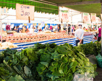 Pouca gente sabe: o vegetal mais saudável do mundo vende na feira e é bem barato, mas todo mundo esquece dele