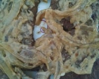 Bife acebolado com molho de maionese