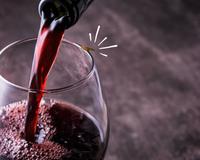 Uma mosca-da-fruta pousou no seu vinho, será que pode beber? Saiba o que fazer, segundo evidências científicas