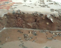 Bolo de chocolate sem farinha