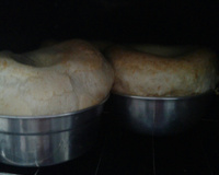 Chimango de fôrma fácil