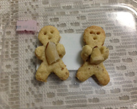 Biscoito de castanha-do-pará