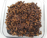 Biscoitinhos de chocolate