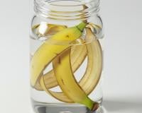 Se você tem cascas de banana, não as jogue fora: por que recomendam colocá-las em um pote com água
