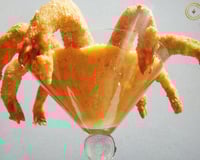 Medusa - Coquetel de camarão