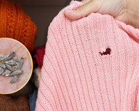 Adeus, traças! Usei esse truque da vovó que acabou com as traças do meu armário (elas sumiram me menos de um dia)