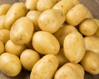 A maioria faz errado: como conservar a batata do jeito certo