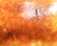 Pão de liquidificador