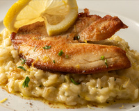 Risoto com camarão e peixe frito que fica pronto em 8h bomba na web, mas TudoGostoso ensina uma receita muito mais rápida!