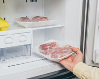Freezer: tudo que você precisa saber para escolher o aparelho certo para a sua cozinha