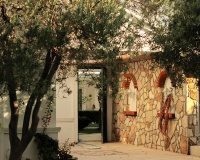 Esta planta elimina todas as baratas da casa de uma vez