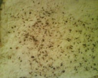 Escondidinho de batata com recheio de pizza