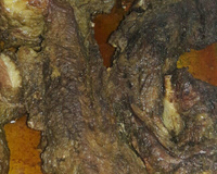 Costela assada no forno