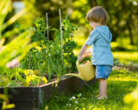 Esses são os melhores truques de jardineiros para evitar a queda prematura das folhas em suas plantas