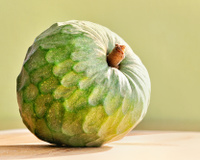 Benefícios da cherimóia para a saúde: confira