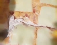 Macarrão com requeijão