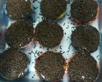 Cobertura de chocolate cremosa