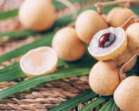 Do outro lado do mundo para o interior de São Paulo: a fruta exótica que desperta interesse de produtores