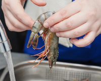 Como lavar camarão para mantê-lo fresco, firme e sem cheiro de peixe: um segredo fácil do restaurante
