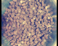 Carrapinha (amendoim coberto com chocolate)