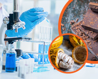 O que os cientistas estão tramando para evitar o fim do chocolate?