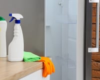 Borrifar vinagre com sal atrás da geladeira uma vez por mês: para que serve e por que é recomendado