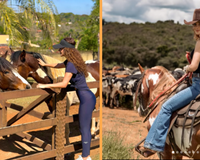 Paula Fernandes proíbe criação de gado e transforma fazenda perto de Belo Horizonte em refúgio para animais, haras de luxo  e área de preservação ambiental