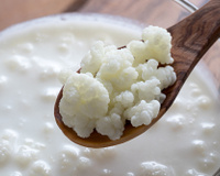 Reduzir a acidez do kefir: veja como em 3 dicas fáceis