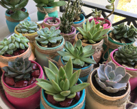 Dia das Mães: 6 ideias de presentes para elas