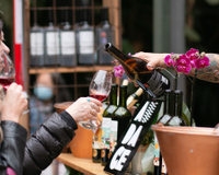 Festival de vinhos brasileiros em São Paulo tem mais de 200 rótulos e promete experiência única no Parque Burle Marx