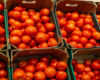 David Guibert, chef: "Se o tomate estiver com a cor uniforme e fizer uma leve marca ao apertar, guarde-o com o lado de baixo para baixo"