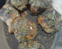 Medalhão assado de filé mignon suíno