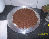 Torta de chocolate gelada