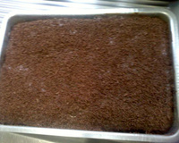 Bolo de Prestígio Super Fácil